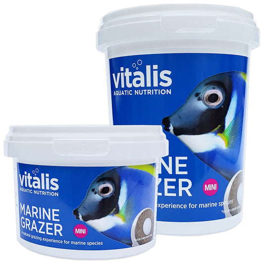 Vitalis Platinum Marine Mini Grazer Rings