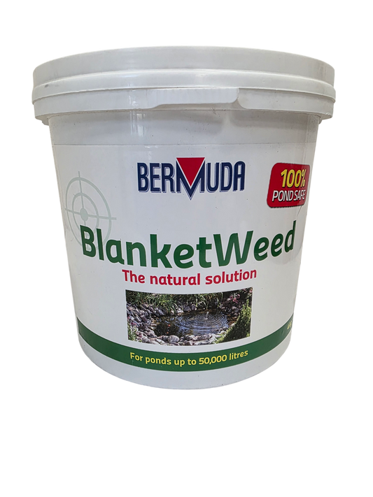 Bermuda Blanketweed 4Kg