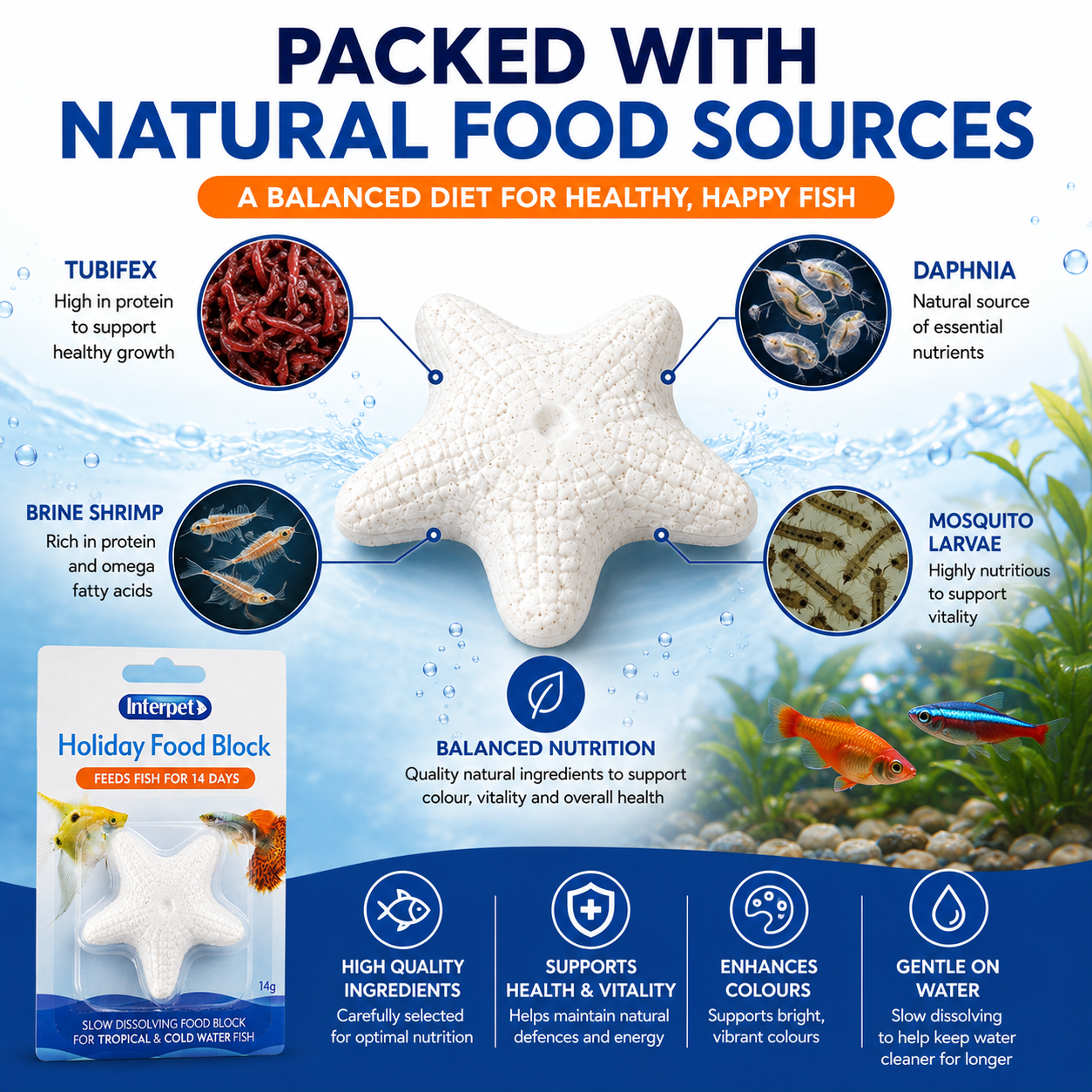 Interpet Fish Holiday Food Block – 2-Week Sustenance