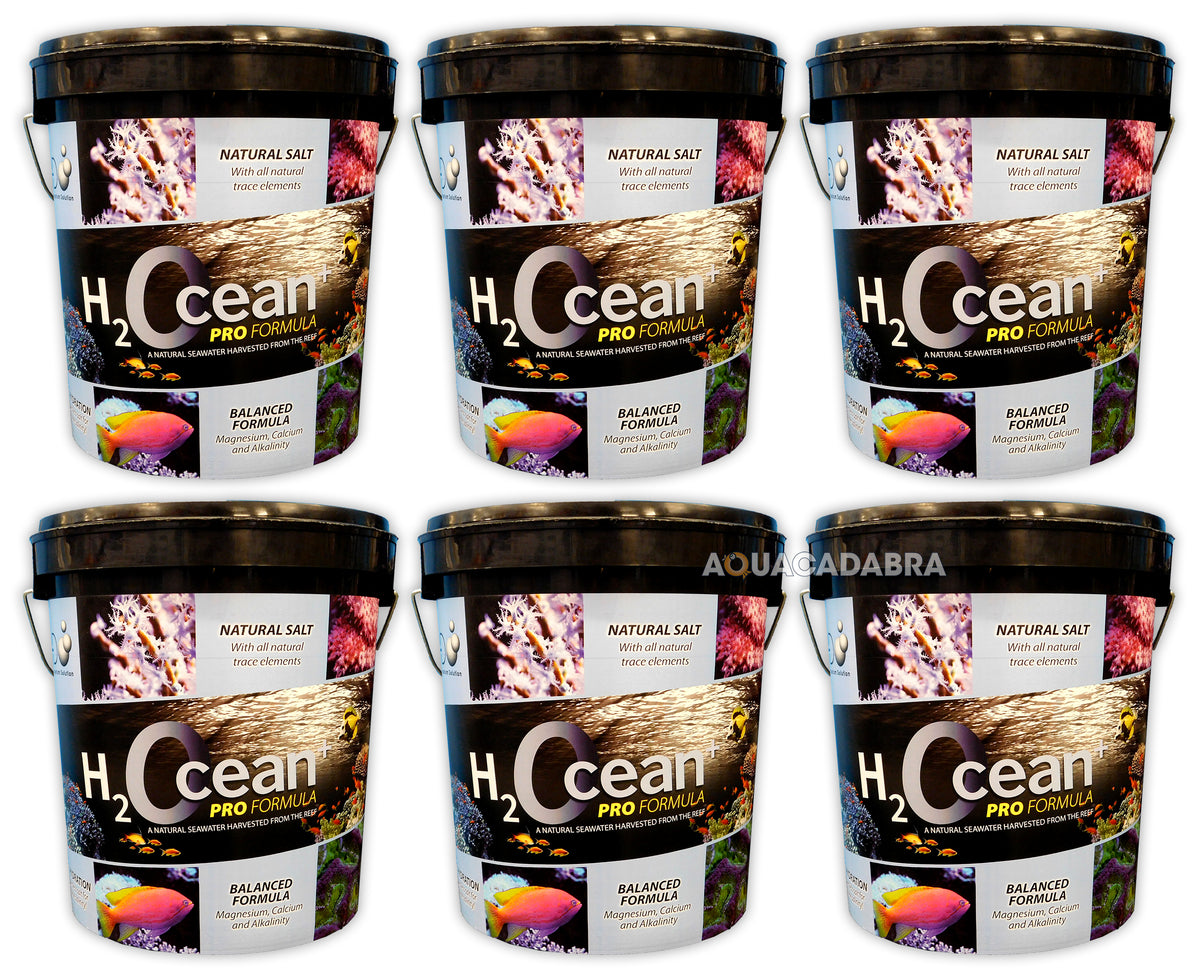 D-D H2Ocean Pro+ Marine Reef Aquarium Salt 6.6kg 23kg Multi Pack Buckets