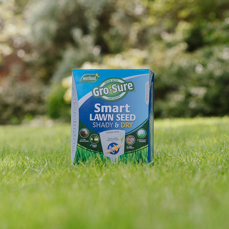 Westland Gro-Sure Smart Lawn Seed Shady & Dry 20m² Drought Tolerant