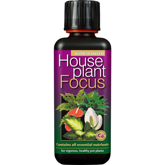 Growth Technology Houseplant Focus 300ml