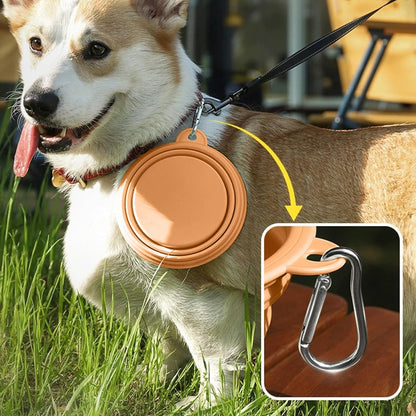 Summer Collapsible Pet Bowl with Clip