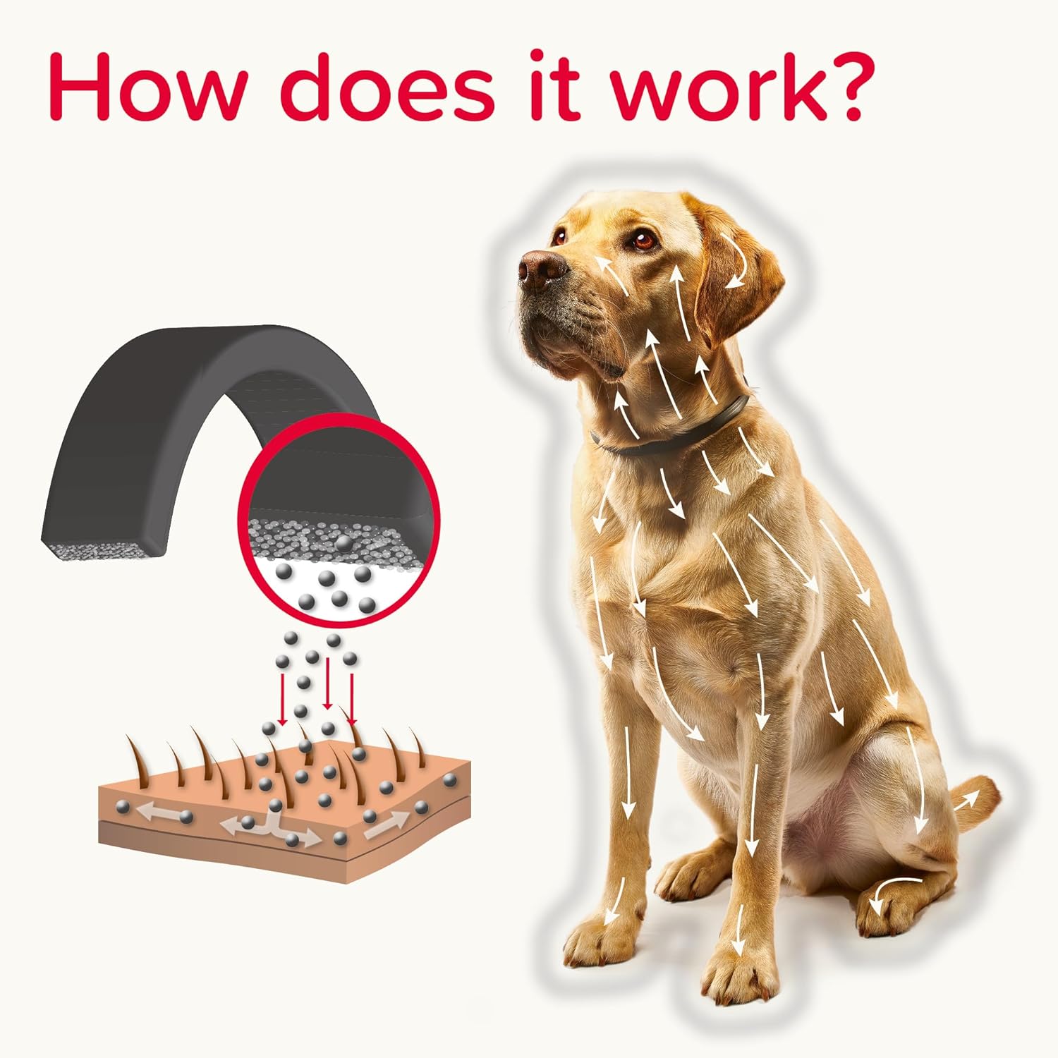 Beaphar Canishield Medicated Collar 4-6 Months up to 65cm