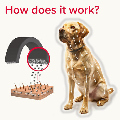 Beaphar Canishield Medicated Collar 4-6 Months up to 65cm