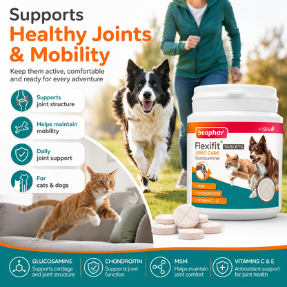 Beaphar Flexifit Glucosamine Joint Care Tablets for Cats & Dogs 120 Tablets