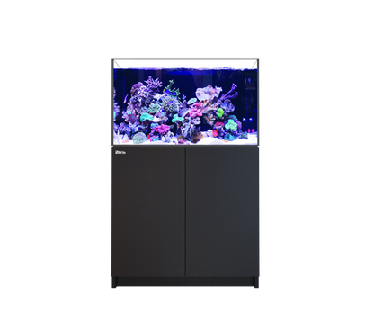 Red Sea Reefer 300 G3 Aquarium