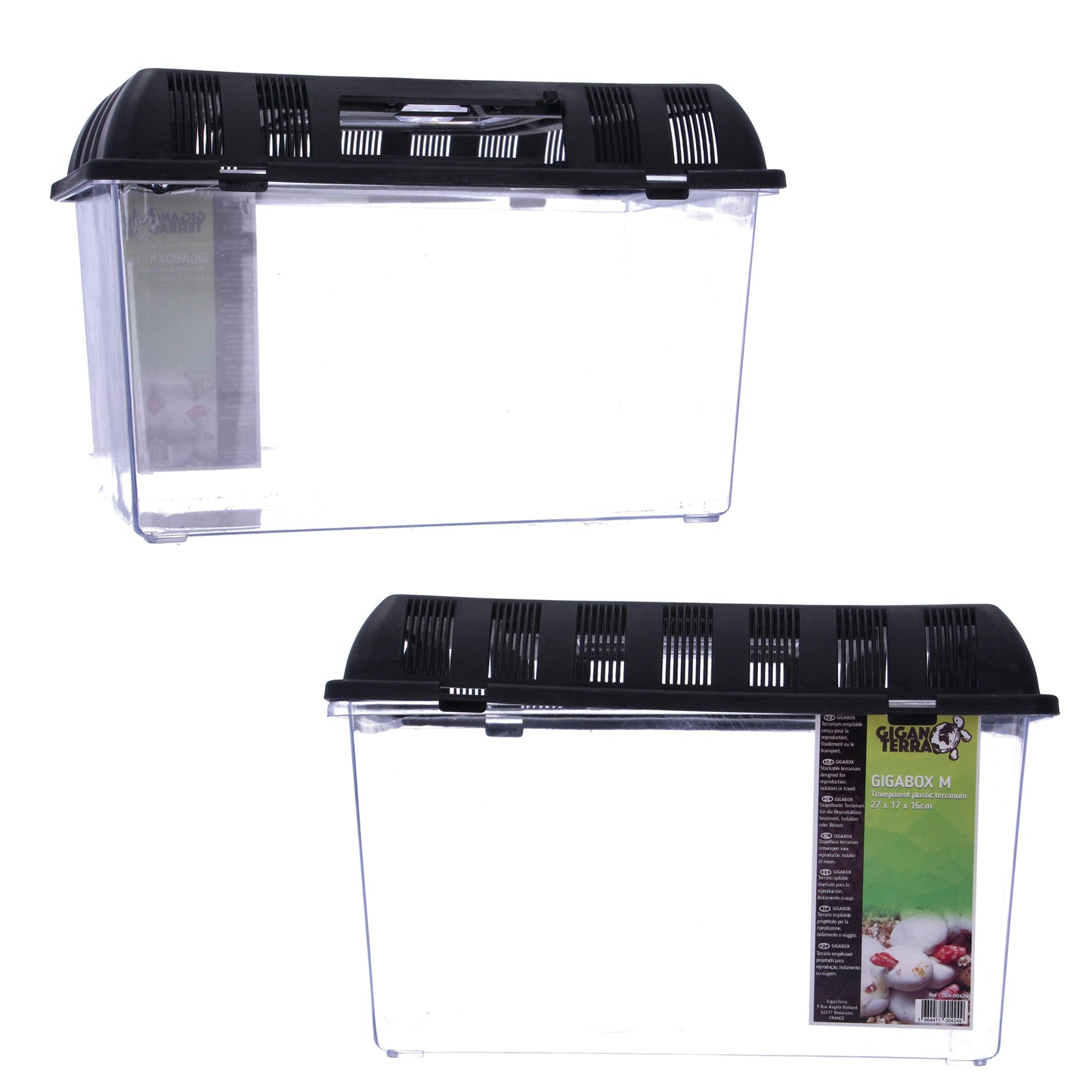 Giganterra Breeding Box M 27 x 17 x 16cm x19