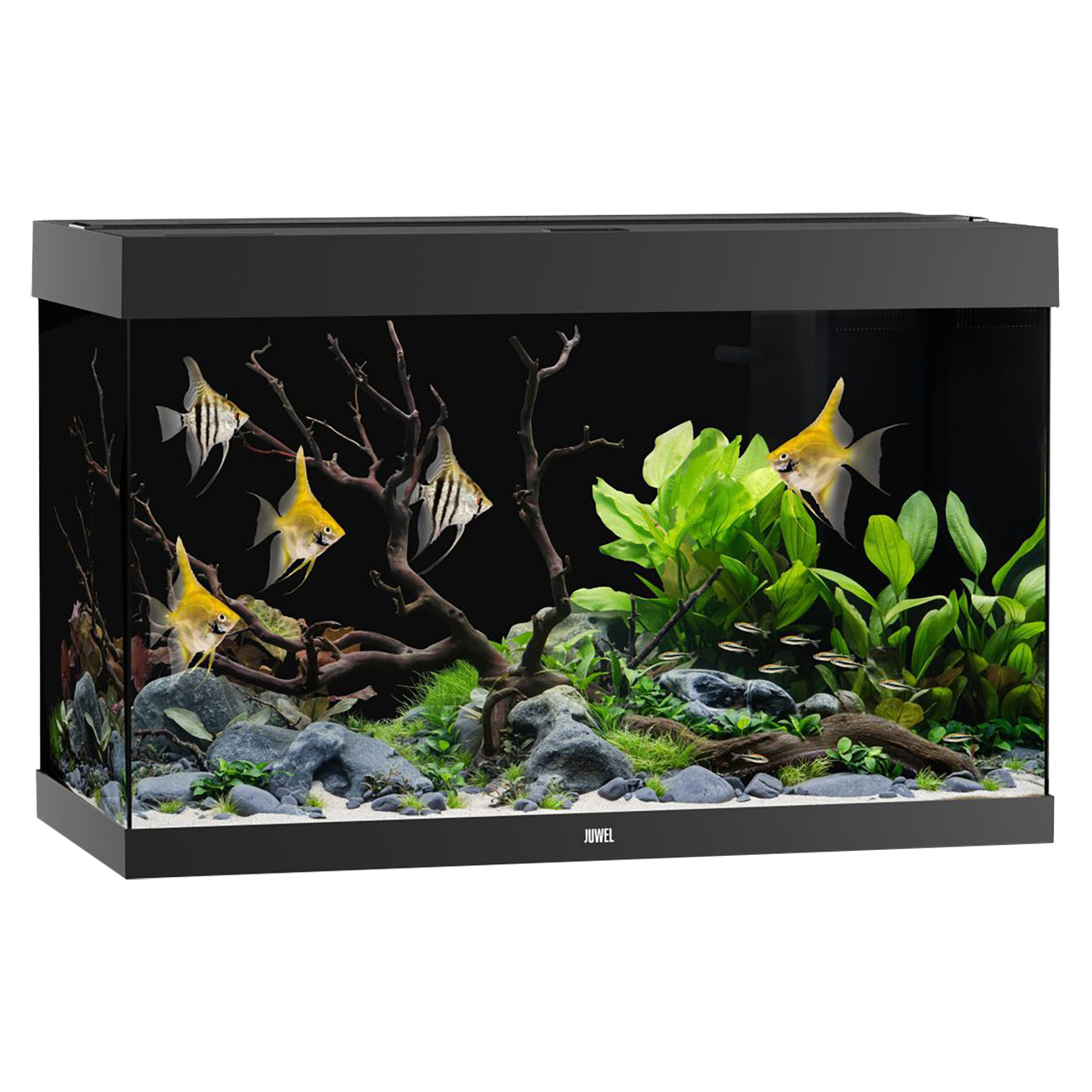 Juwel Rio 290 LED Aquarium Only