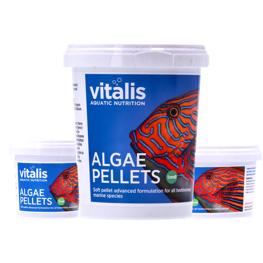 Vitalis Algae Pellets XS: Herbivorous Marine Fish Diet