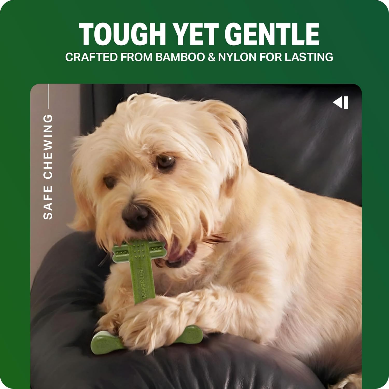 Bamboodles Dental Infusion Chew Toy Small 