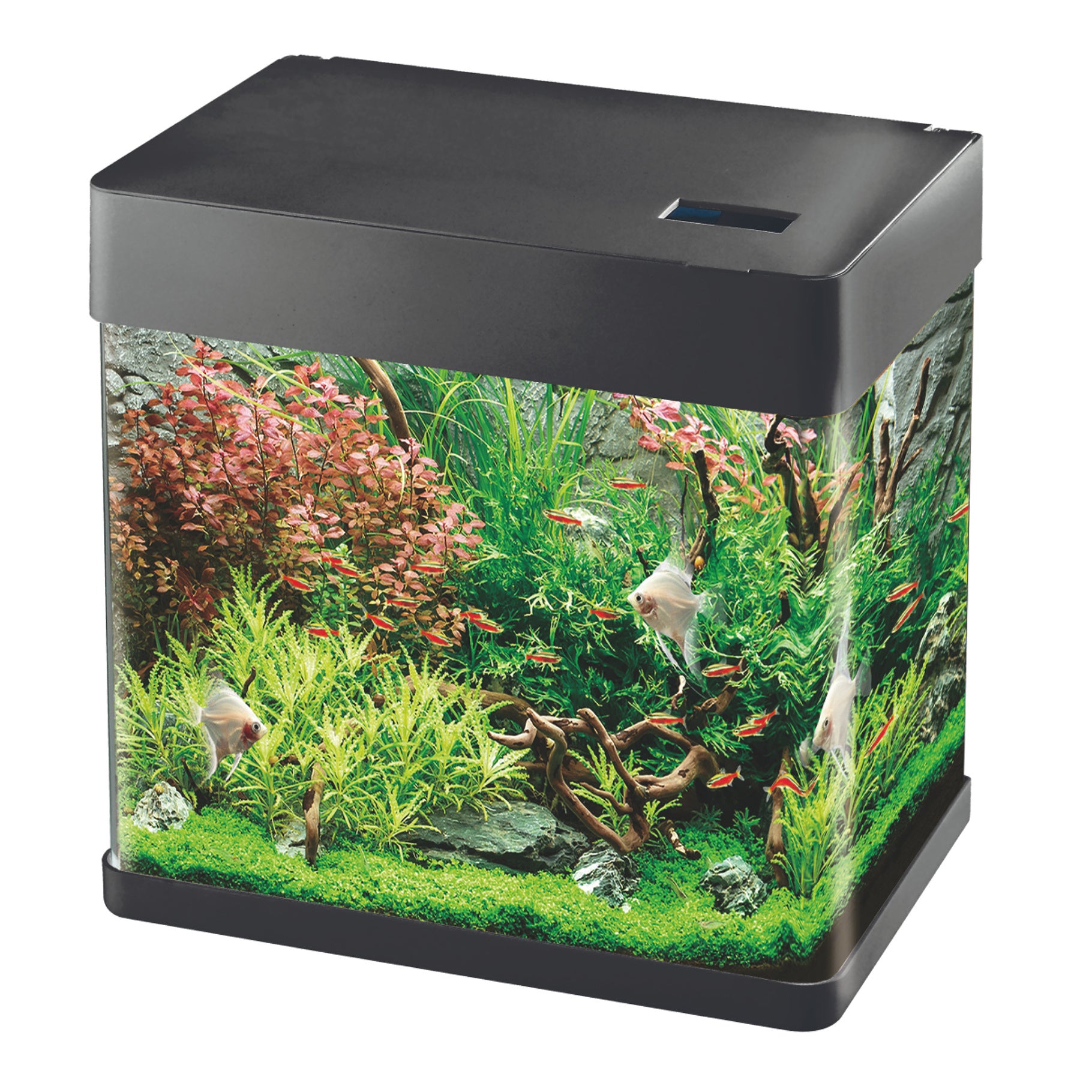 Betta Choice Lifespace View 49L