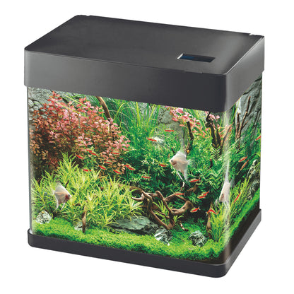 Betta Choice Lifespace View 49L