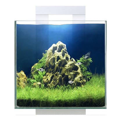 Ciano Nexus Pure 15 Shrimp Aquarium 14L
