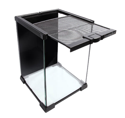 Reptile One Glass Terrariums