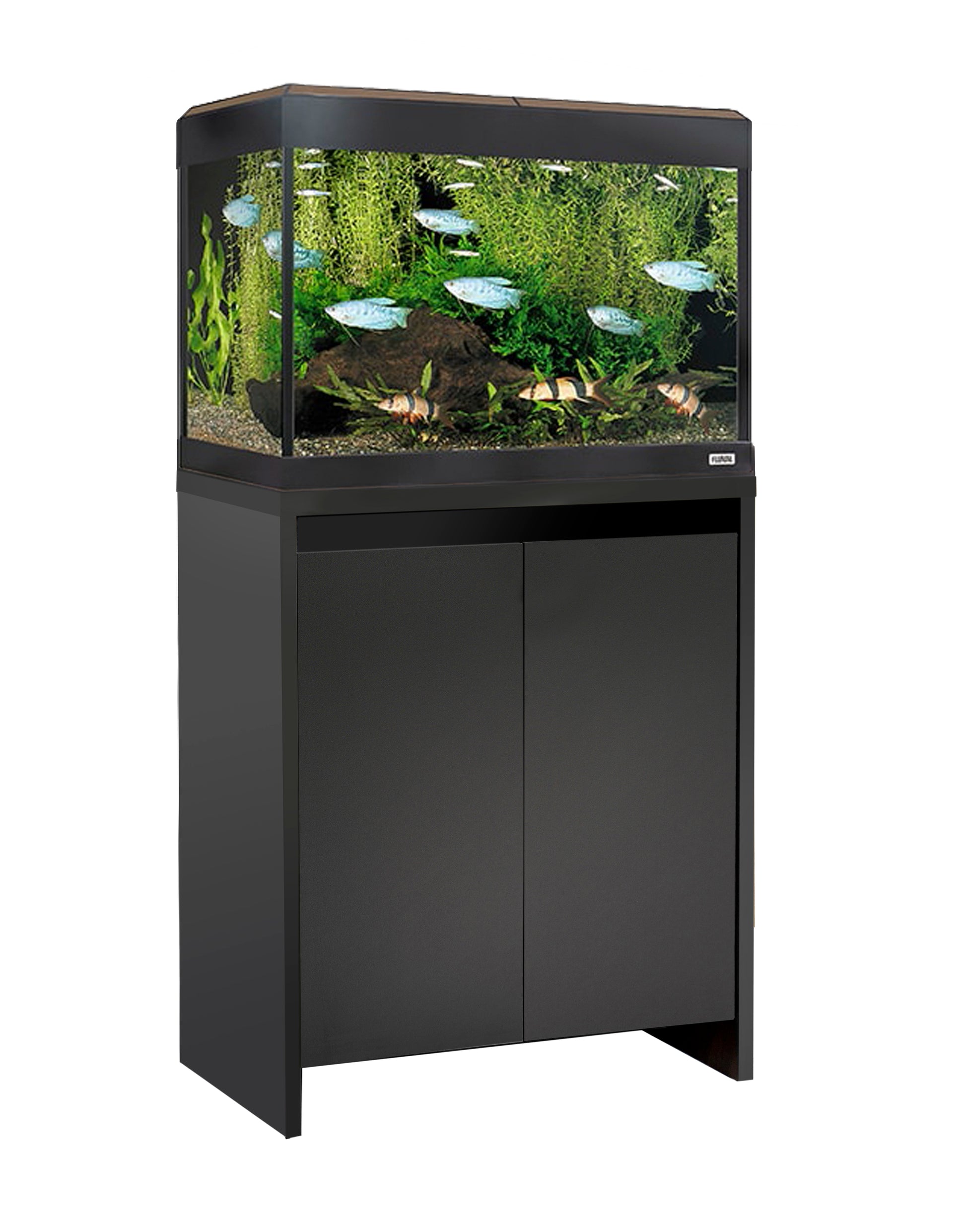 Fluval Roma Walnut 90 Aquarium with Black Cabinet