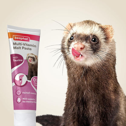 Beaphar Multi-Vitamin Paste for Ferrets 