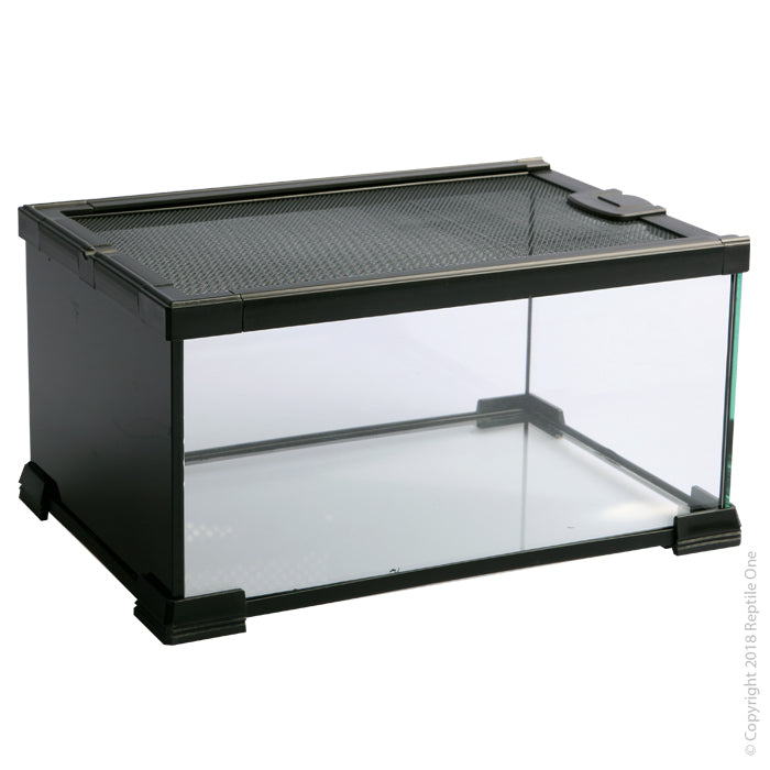 Reptile One Glass Terrariums