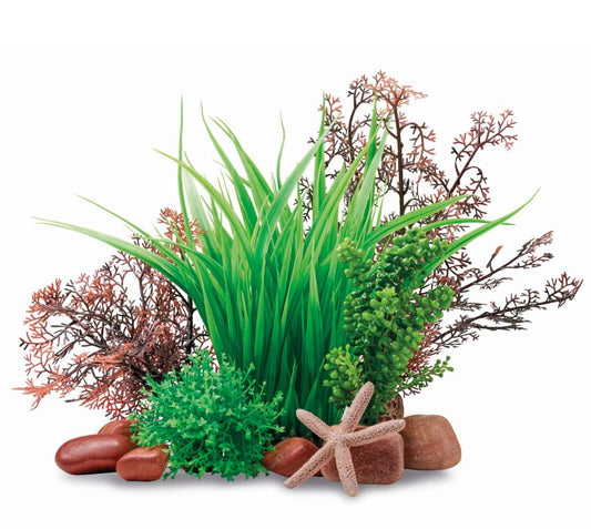 Oase biOrb Palau Décor Set – Complete Pacific-Style Aquarium Decoration
