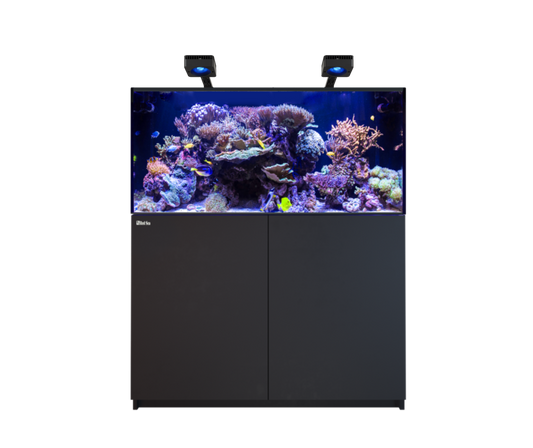 Red Sea Reefer MAX 425 G3 Aquarium