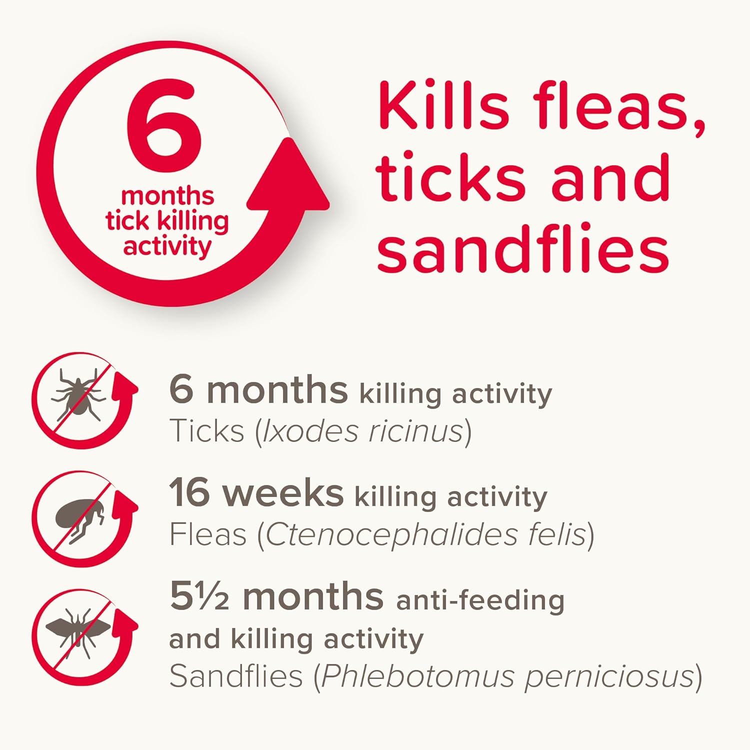 Beaphar Canishield Medicated Collar 4-6 Months up to 65cm