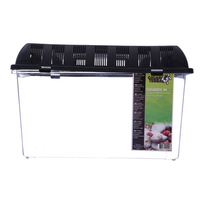Giganterra Breeding Box M 27 x 17 x 16cm x19