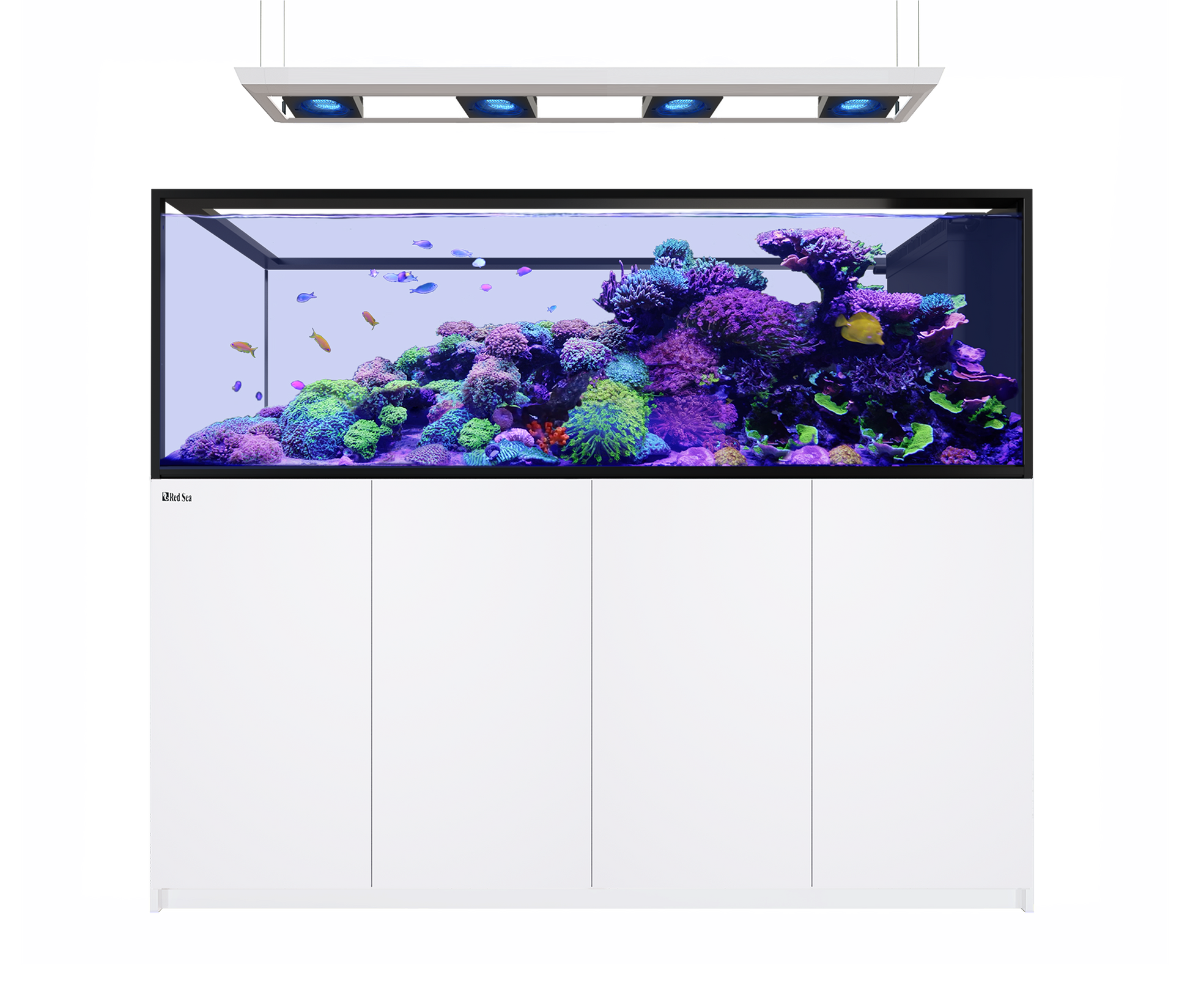 Red Sea Reefer MAX Peninsula S-950 G3 Aquarium