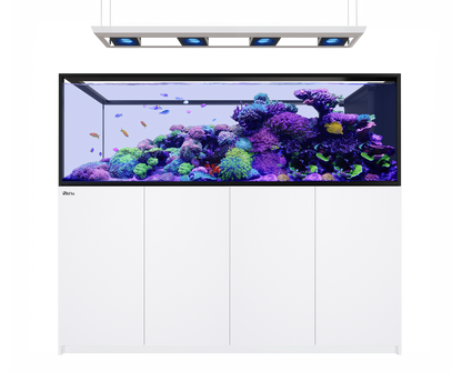 Red Sea Reefer MAX Peninsula S-950 G3 Aquarium