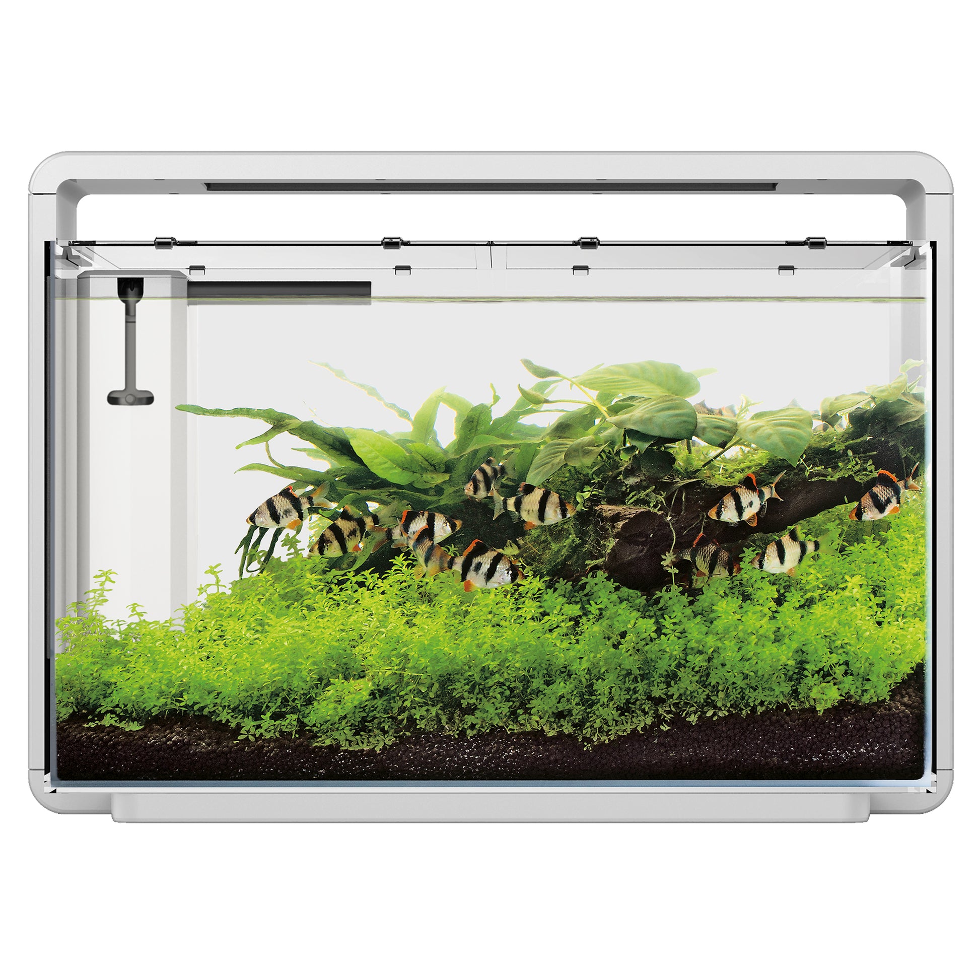 Superfish Home 65 LED Aquarium with Built-in Filter System