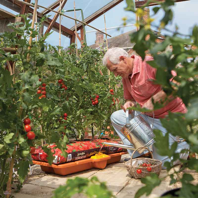 Hozelock Grow Bag Waterer