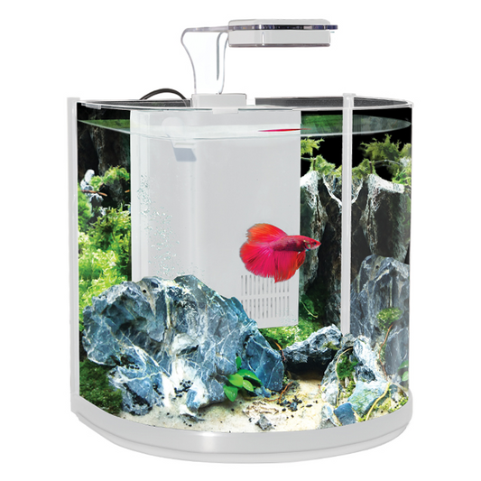 Aqua One BT 10 Betta Aquarium White