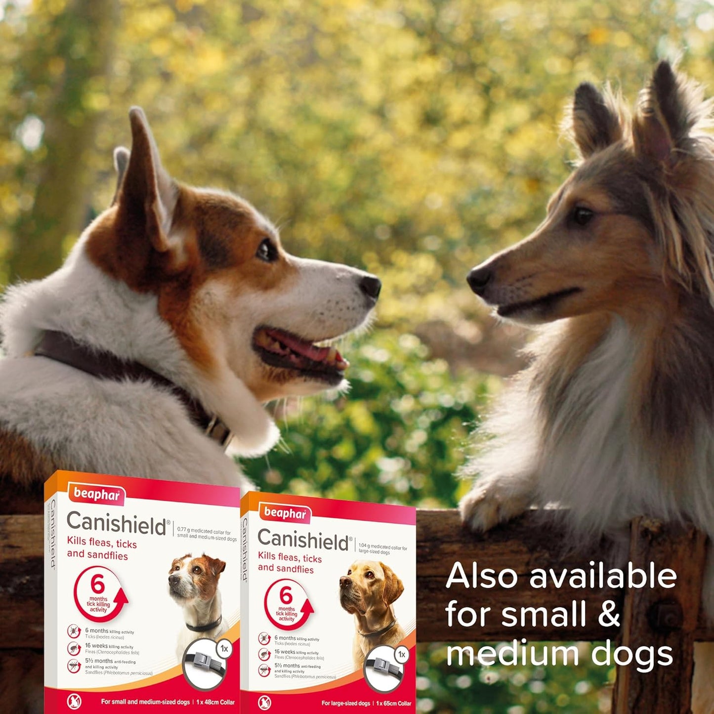 Beaphar Canishield Medicated Collar 4-6 Months up to 65cm