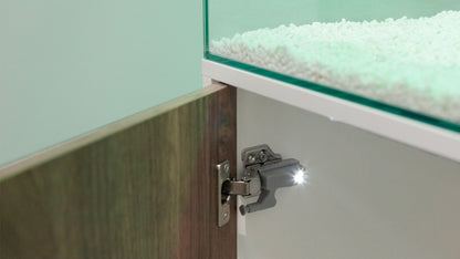 Shallow Aquascape 80 Aquarium