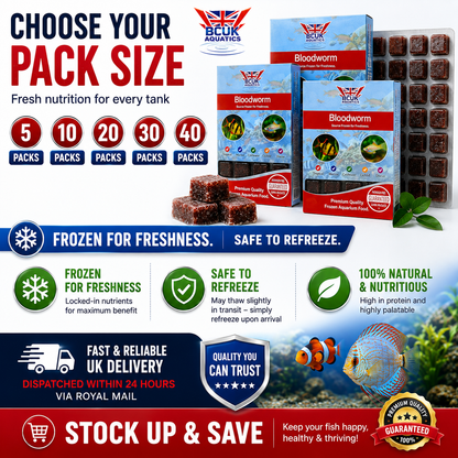BCUK 100g Frozen Bloodworm – Natural Fish Prey