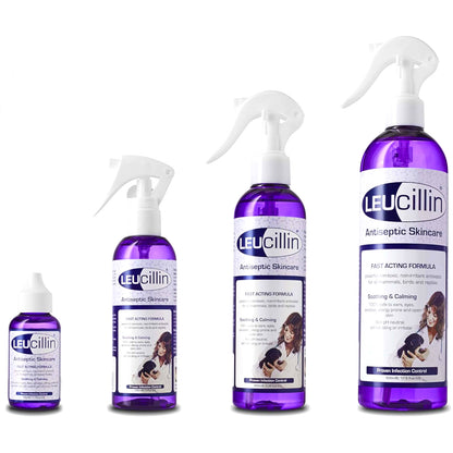 Leucillin Antiseptic Dog Cat Skin Care Solution Spray Instant Germ Killer