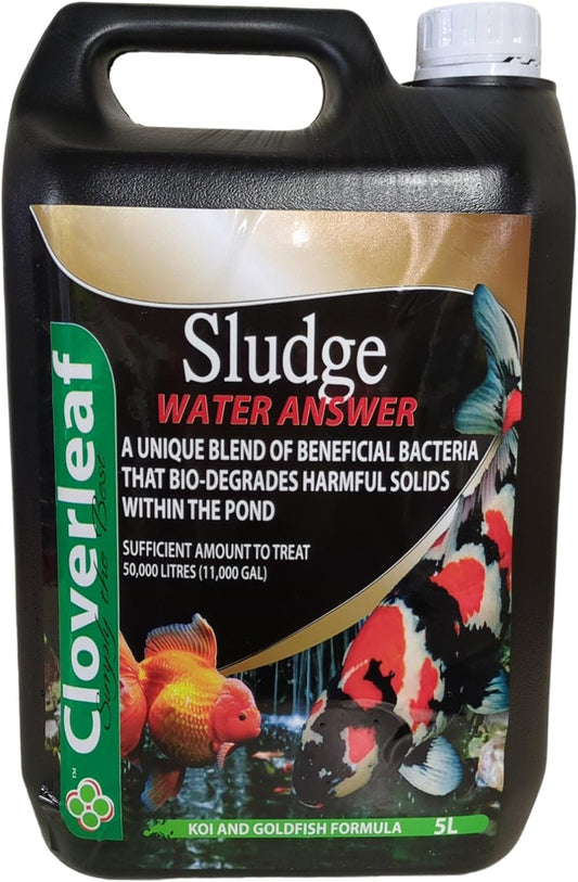 Cloverleaf Sludge 5L Pond Sludge Remover Bacteria Treatment Water Care