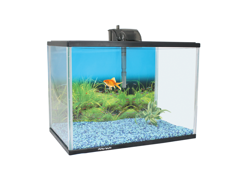 Aqua One Splish & Splash Starter Aquarium Kit Large 28L