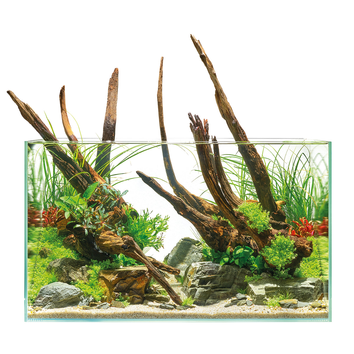 Oase ScaperLine 60cm 75L OptiWhite Aquarium