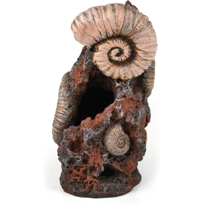 biOrb Ancient Conch Ornament