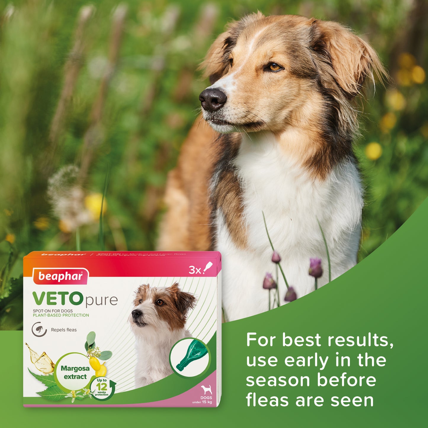 Beaphar VETOpure Small Dog Spot Flea Treatment