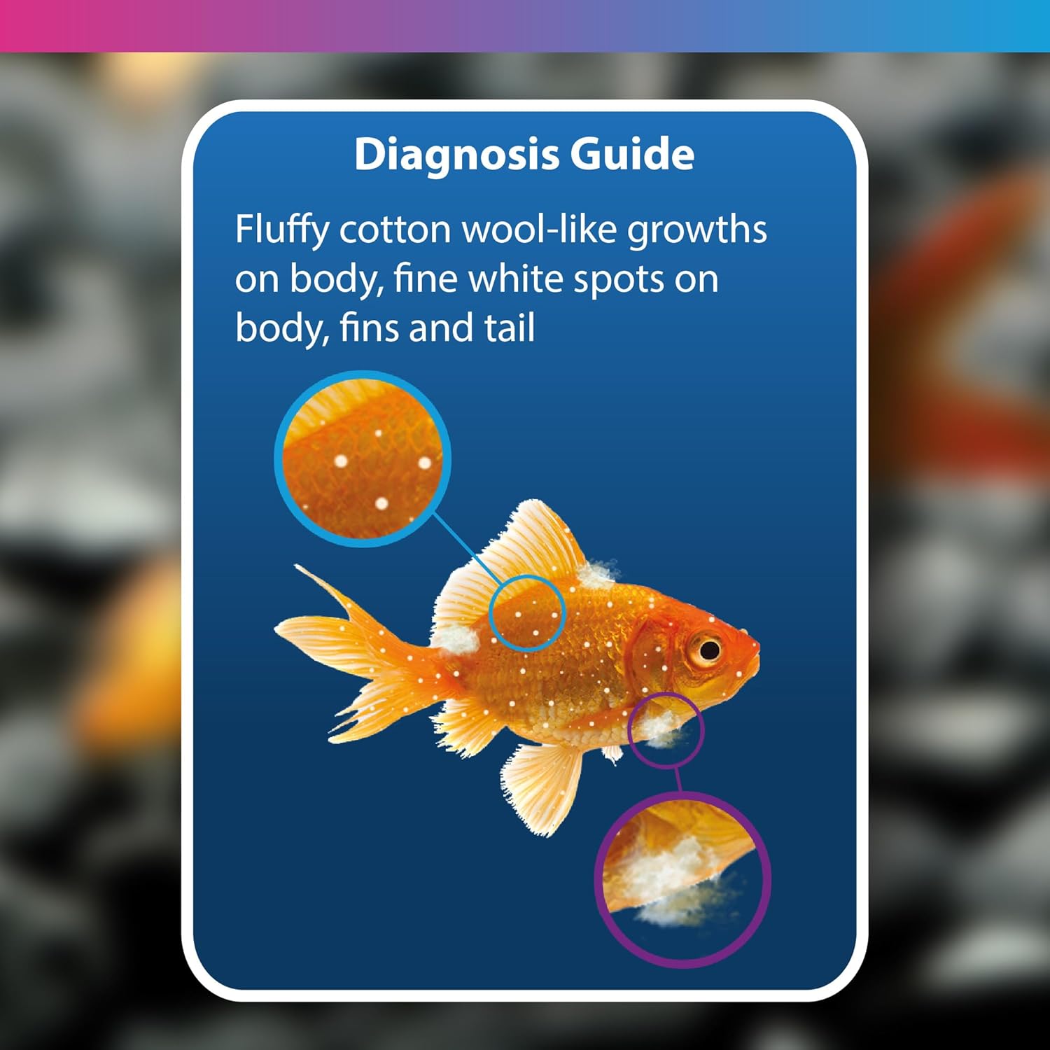 NT Labs Aquarium Anti-White Spot & Fungus 250ml 