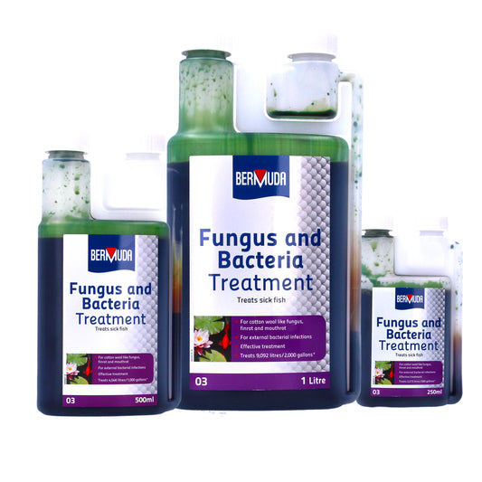 Bermuda Fungus & Bacteria Treatment