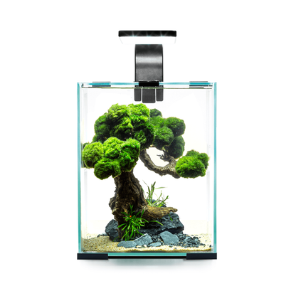 Aquael Day & Night 20L Shrimp Tank Set