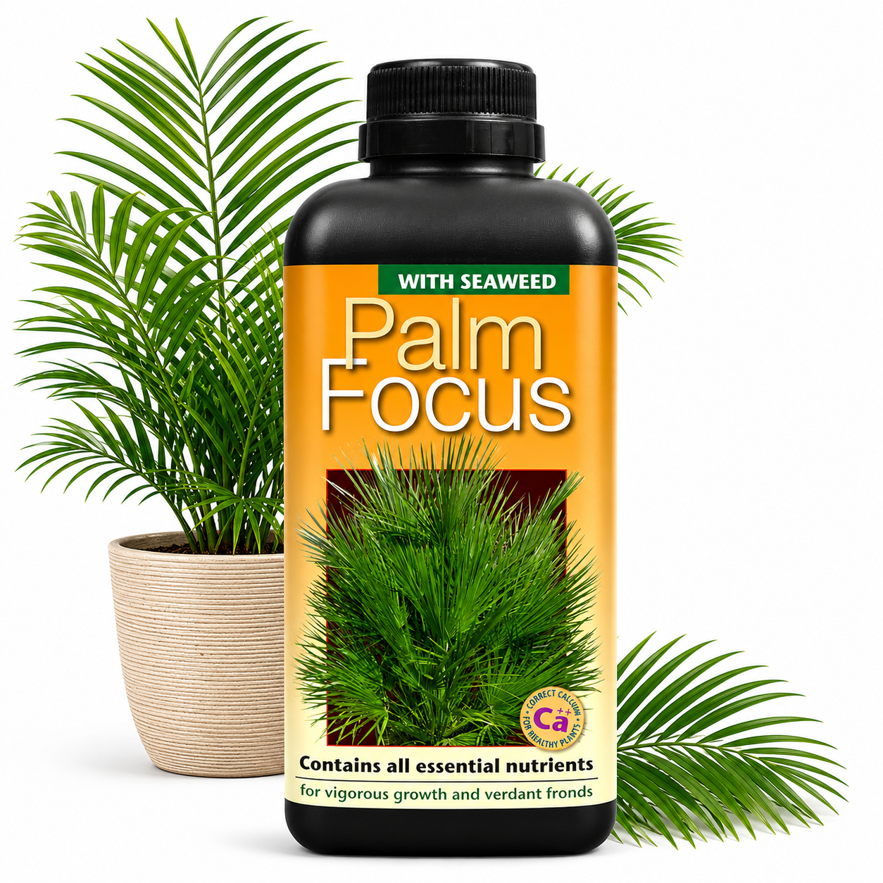 Palm Tree Fertiliser Feed For Healthy Vigorous Growth 1000 ml Palm Focus Garden