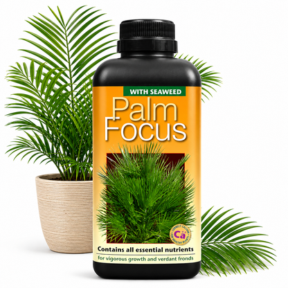 Palm Tree Fertiliser Feed For Healthy Vigorous Growth 1000 ml Palm Focus Garden