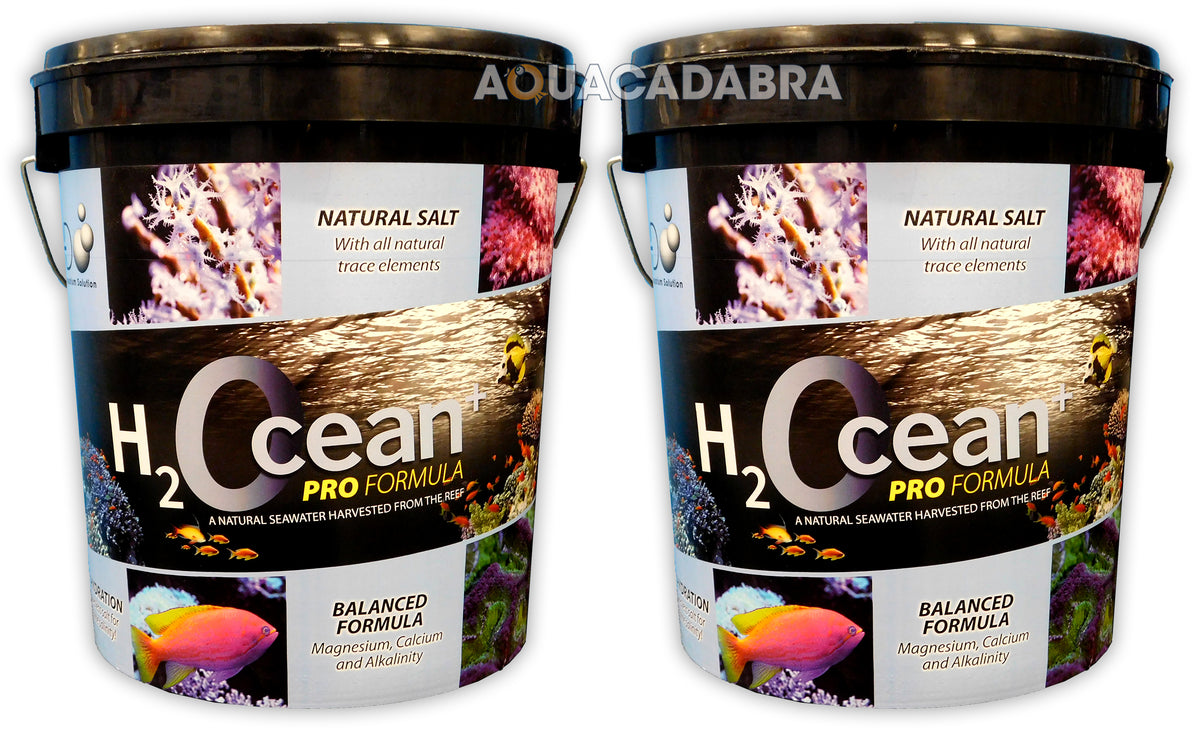 D-D H2Ocean Pro+ Marine Reef Aquarium Salt 6.6kg 23kg Multi Pack Buckets