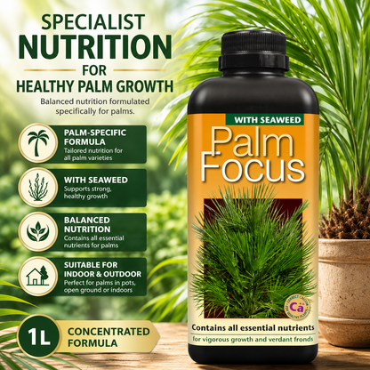 Palm Tree Fertiliser Feed For Healthy Vigorous Growth 1000 ml Palm Focus Garden