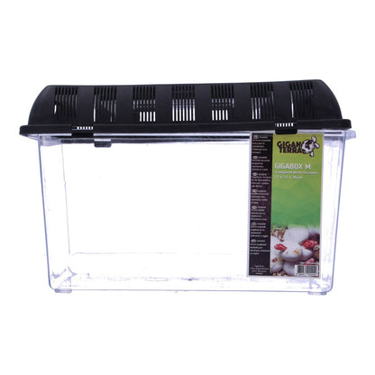 Giganterra Breeding Box M 27 x 17 x 16cm x19