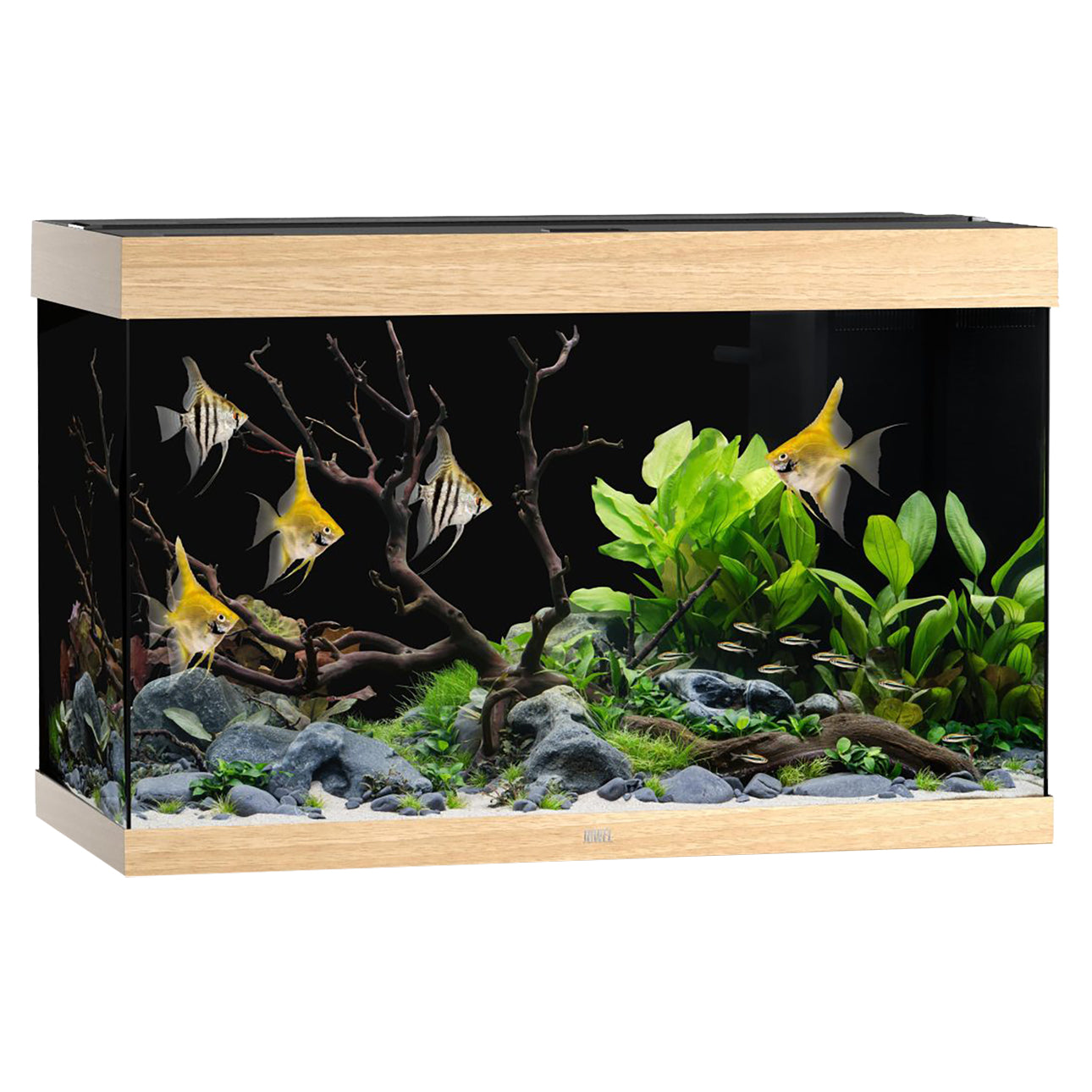 Juwel Rio 290 LED Aquarium Only