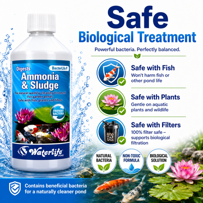 Waterlife BacterLife P Pond Bacteria Reducer (250ml/500ml/1L)